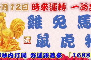 10月12日時來運轉一路發，雞兔馬鼠虎猴，88秒內打開，好運跟著來『16888』