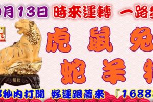 10月13日時來運轉一路發，虎鼠兔蛇羊狗，88秒內打開，好運跟著來『16888』