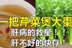 【芹菜紅棗煲湯】日常生活應該如何養肝護肝？！肝不好的趕快把它存起來！