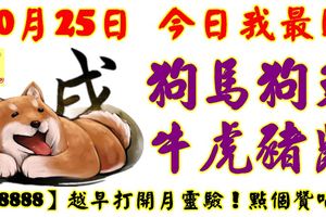 10月25日，今日我最旺！狗馬狗兔牛虎豬鼠！【28888】越早打開越靈驗！點個讚吧！