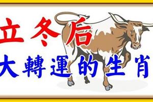 11月立冬後能踩到狗屎運，賺得盆滿缽滿的四大生肖