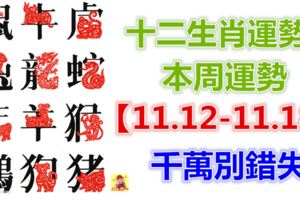 十二生肖運勢：本周運勢【11.12-11.18】千萬別錯失！