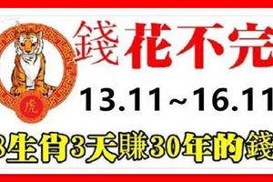 從11月13日到16日，8大生肖連發3天，3天賺30年花不完的錢！