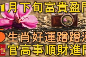 11月下旬富貴盈門，5生肖好運蹭蹭漲，官高事順財進門！