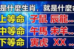 十二生肖：上等命。中等命、下等命？