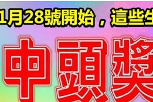 11月28號，這幾個生肖一定要去買彩票！