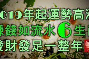 2019年起運勢高漲，賺錢如流水的6大生肖，發財發足一整年！