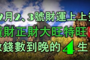 12月2、3號，財運上上簽，橫財正財大旺特旺，數錢數到晚的4大生肖！