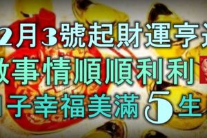 12月3號起財運亨通，做事情順順利利，日子幸福美滿的5大生肖！