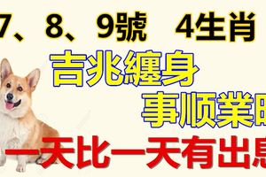 7、8、9號，吉兆纏身，4生肖事順業旺，往後一天比一天有出息