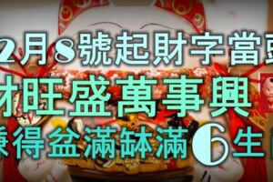 12月8號起財字當頭，財旺盛萬事興，賺得盆滿缽滿的6大生肖！