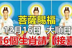 12月16日，大順日，菩薩賜福這6個生肖。