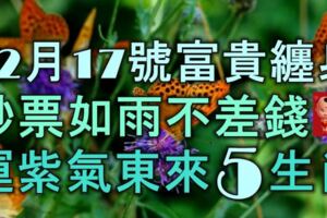 12月17號起富貴纏身，鈔票如雨不差錢，大運紫氣東來的5大生肖！