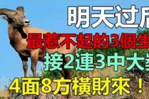 明天過後，3生肖，接2連3中大獎，4面8方橫財來