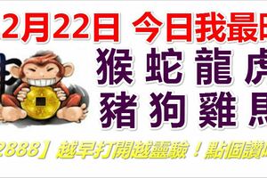 12月22日，今日我最旺！猴蛇龍虎豬狗雞馬！【22888】越早打開越靈越！點個讚吧！