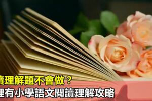 閱讀理解題不會做？這裡有小學語文閱讀理解攻略