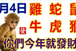 1月4日生肖運勢_雞、蛇、鼠大吉