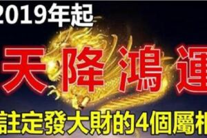 2019年起，天降鴻運的4個屬相，註定發大財