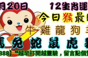 2019年1月20日，星期日農歷臘月十五（戊戌年乙丑月丁巳日）