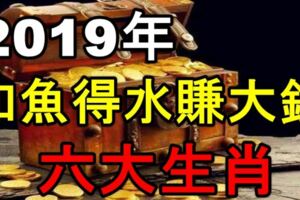 2019年，如魚得水賺大錢的六大生肖！