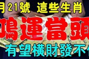 1月21號開始鴻運當頭，有望橫財發不停的生肖【前六名多留意】