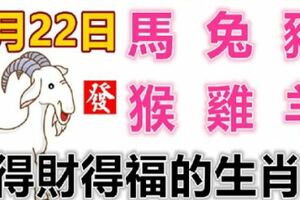 1月22日生肖運勢_馬、兔、豬大吉