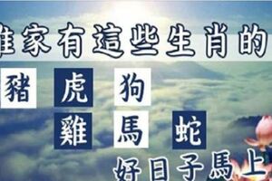 2019年六大福相：豬，虎，狗，雞，馬，蛇，好日子馬上來