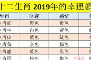 十二生肖2019年的幸運顏色，什麼顔色最旺你？看看就懂了！