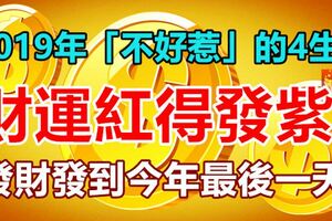 2019年「不好惹」的4生肖，財運紅得發紫，發財發到今年最後一天