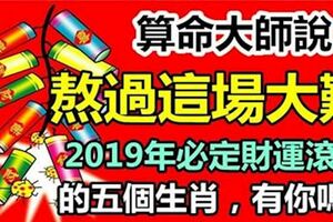 2019年必定大紅大紫，財運滾滾的5個屬相