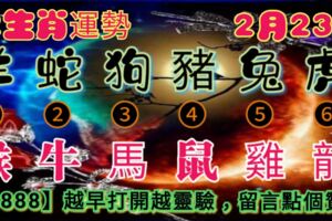 2019年2月23日，星期六農歷正月十九（己亥年丙寅月辛卯日）