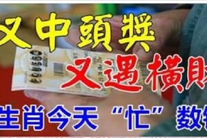 又中頭獎，又遇橫財！5生肖今天「忙」數錢，越數越有錢