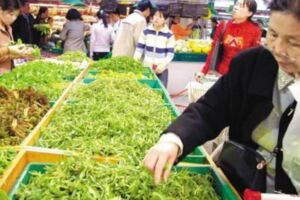 東北才能吃到的「野菜」，南方人見了說是「艾草」，常吃降血壓