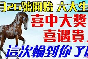 2月26號開始，六大生肖喜中大獎，喜遇貴人。這次輪到你了吧