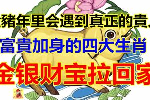 在金豬年裡會遇到真正的貴人，從此能夠富貴加身的四大生肖