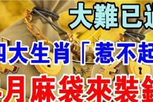 熬過大難，4月趕快備好麻袋請裝錢的生肖