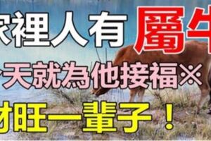 生肖牛：誰家有屬牛的，就在今天，趕緊為他接福，今天接了，財運旺一輩子