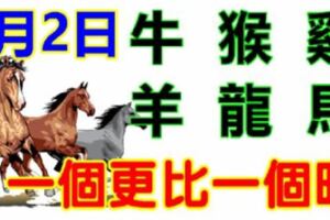 4月2日生肖運勢_牛、猴、雞大吉