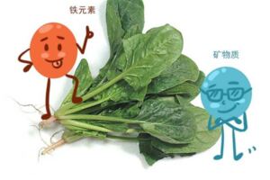 這6種菜春天要「常吃」，它能有效提高免疫力，對身體有好處！