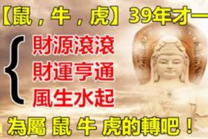 屬【鼠，牛，虎】39年才一次，為屬鼠，牛，虎的轉吧，大吉大利