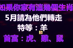 家裡有這4個生肖的，請為他們轉走，5月貴人相助容易發財