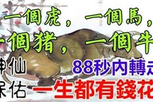 神仙保佑：一輩子衣食無憂的5個生肖，從來不缺錢，希望有你！