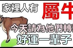 你家裡人有屬牛的嗎，請為他們轉發，今天開始*好運一輩子*