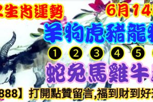 2019年6月14日，星期五，農歷五月十二（己亥年庚午月壬午日）