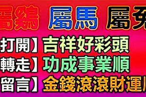 屬雞、馬、兔的朋友，出來接喜，近期「四喜重重」