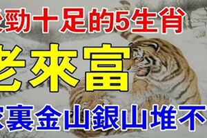 5大生肖後勁十足，都是老來富的人