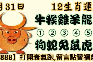 2019年7月31日，星期三，農歷六月廿九（己亥年辛未月己巳日）