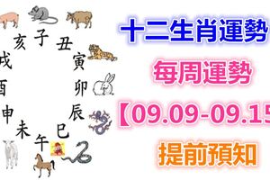 十二生肖運勢：每周運勢【09.09-09.15】提前預知！