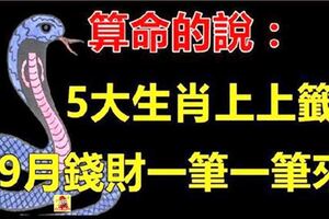 算命的說：9月求得上上簽的5大生肖，錢財不斷一筆接一筆