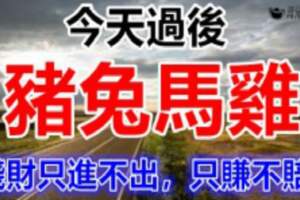 4大生肖今天過後錢財只進不出，只賺不賠！